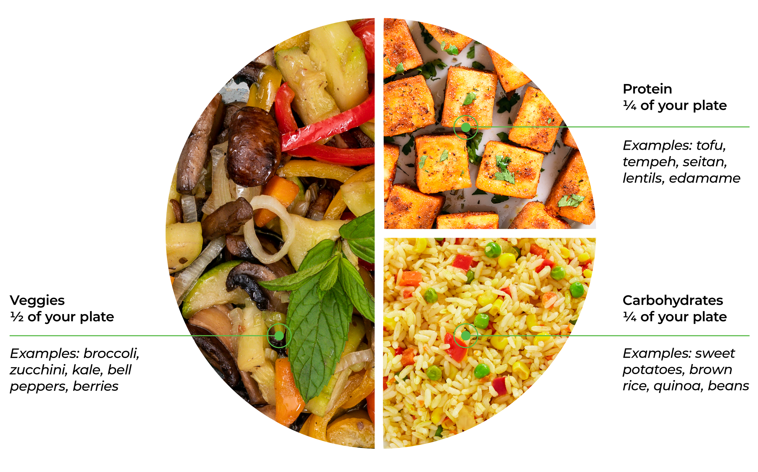 2 Week Workout Plan At Home For Weight Loss And Fitness